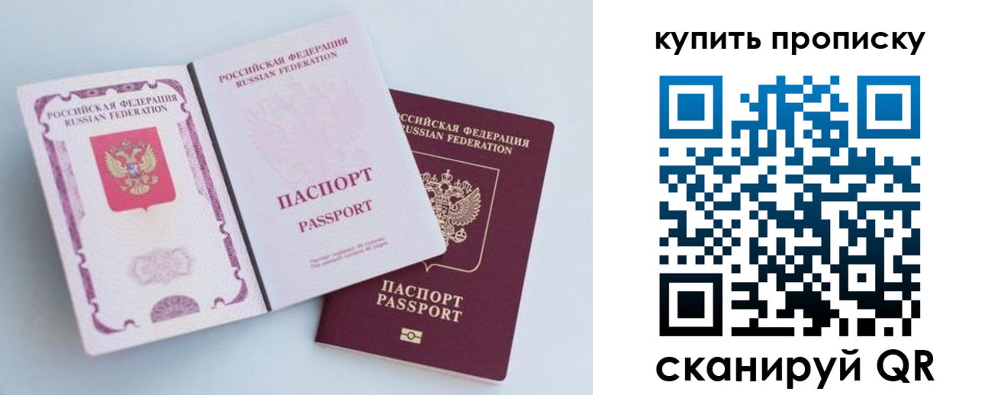 прописка паспорт в Курской области